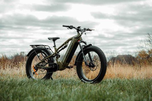 Let's Compare the Rambo Dominator UD and HD models!